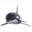 Killer whale