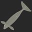 Killer whale
