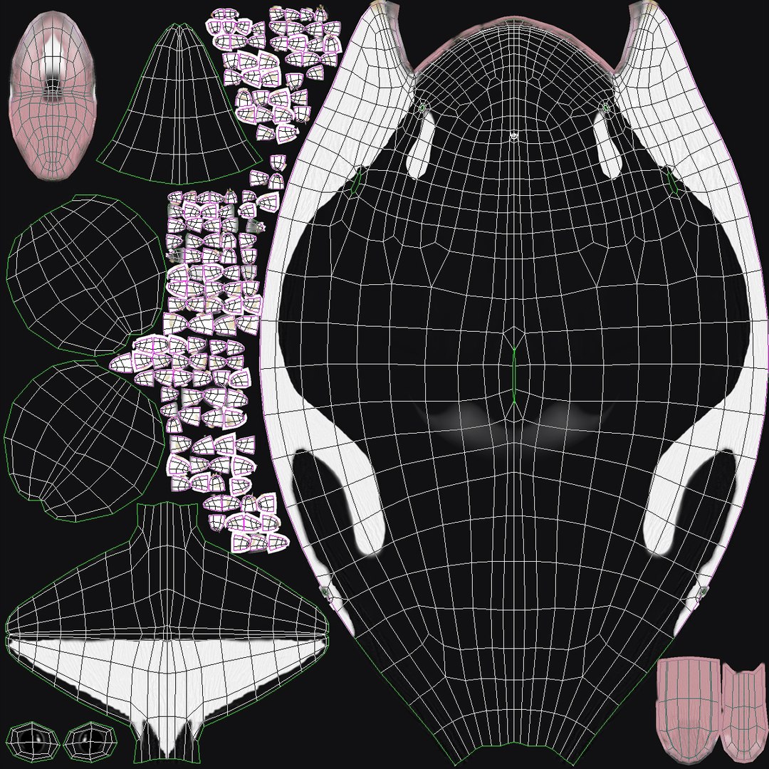 3d killer whale orca https://p.turbosquid.com/ts-thumb/j8/zeqk4y/pqSrb33y/whale_0030/jpg/1426172934/1920x1080/fit_q87/af4950728a9ea54f2f3649136b92082120d6dbf4/whale_0030.jpg