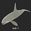 Killer whale