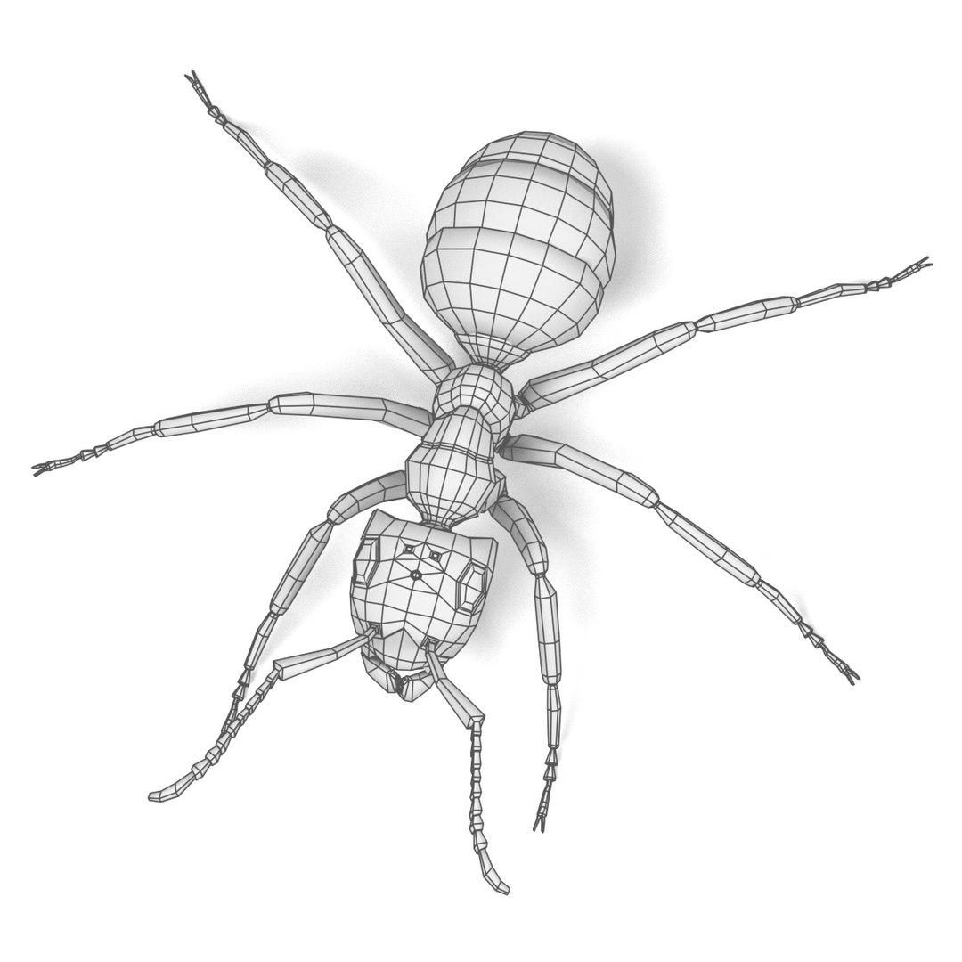 red ant 3d obj https://p.turbosquid.com/ts-thumb/j9/2U7ZEY/L6BqxB05/antw5/jpg/1483532070/1920x1080/fit_q87/2ad58f30ea5b7543764a88fab00a2dbd27cd8a09/antw5.jpg