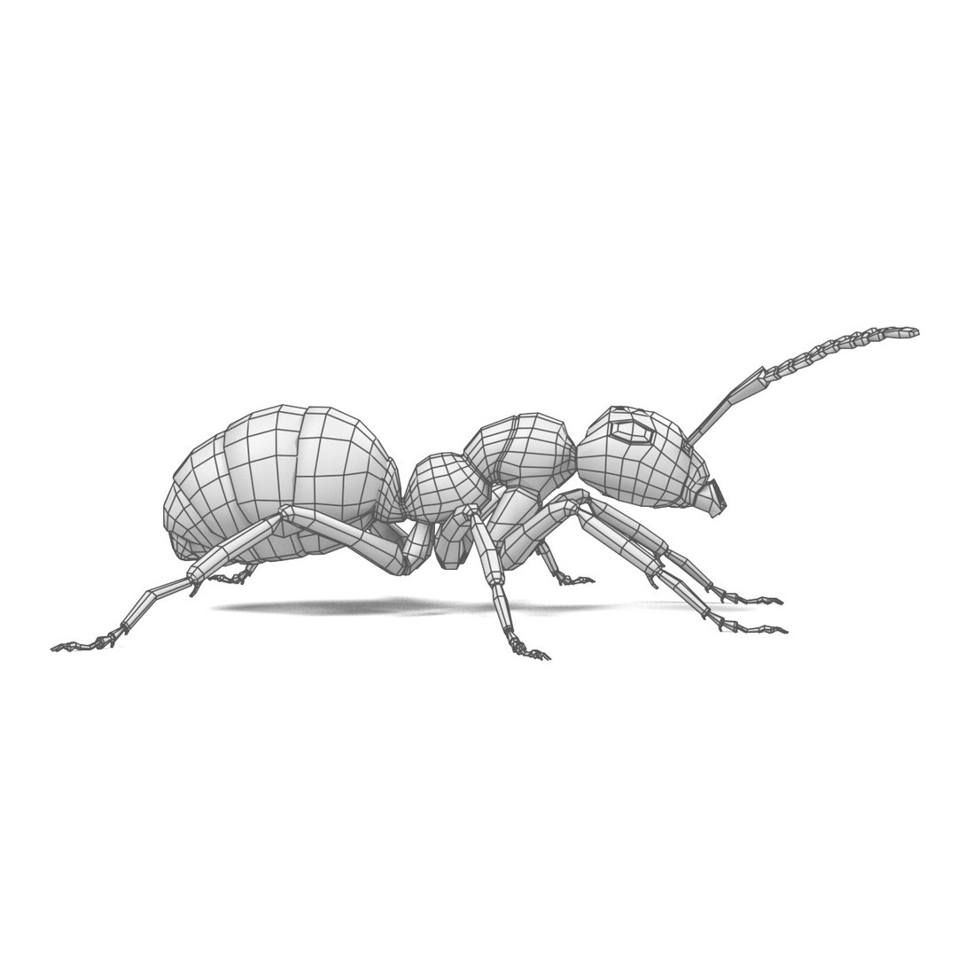 red ant 3d obj https://p.turbosquid.com/ts-thumb/j9/2U7ZEY/mTW4emOL/antw3/jpg/1483532070/1920x1080/fit_q87/e8185e93f6aa74f8bd06099c20e441409e8e4441/antw3.jpg