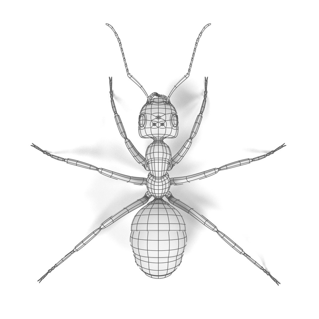 red ant 3d obj https://p.turbosquid.com/ts-thumb/j9/2U7ZEY/qL05mVkx/antw/jpg/1483532070/1920x1080/fit_q87/4767446cf5ada09b00393386fa40e1afdb53dc2e/antw.jpg