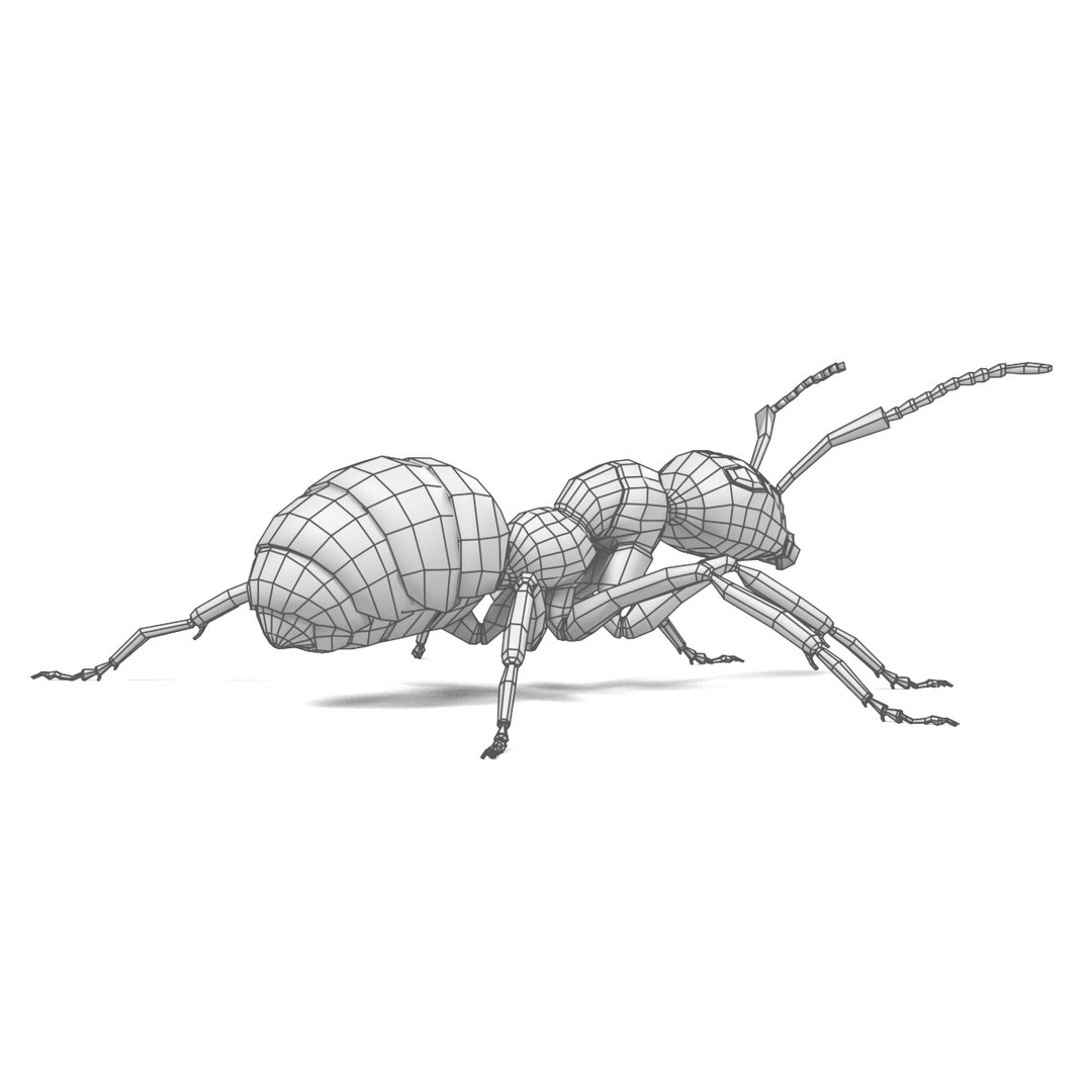 red ant 3d obj https://p.turbosquid.com/ts-thumb/j9/2U7ZEY/qTSUtifd/antw4/jpg/1483532070/1920x1080/fit_q87/cda8b4ab598ae93351b87c5f2d23559f08727f2a/antw4.jpg