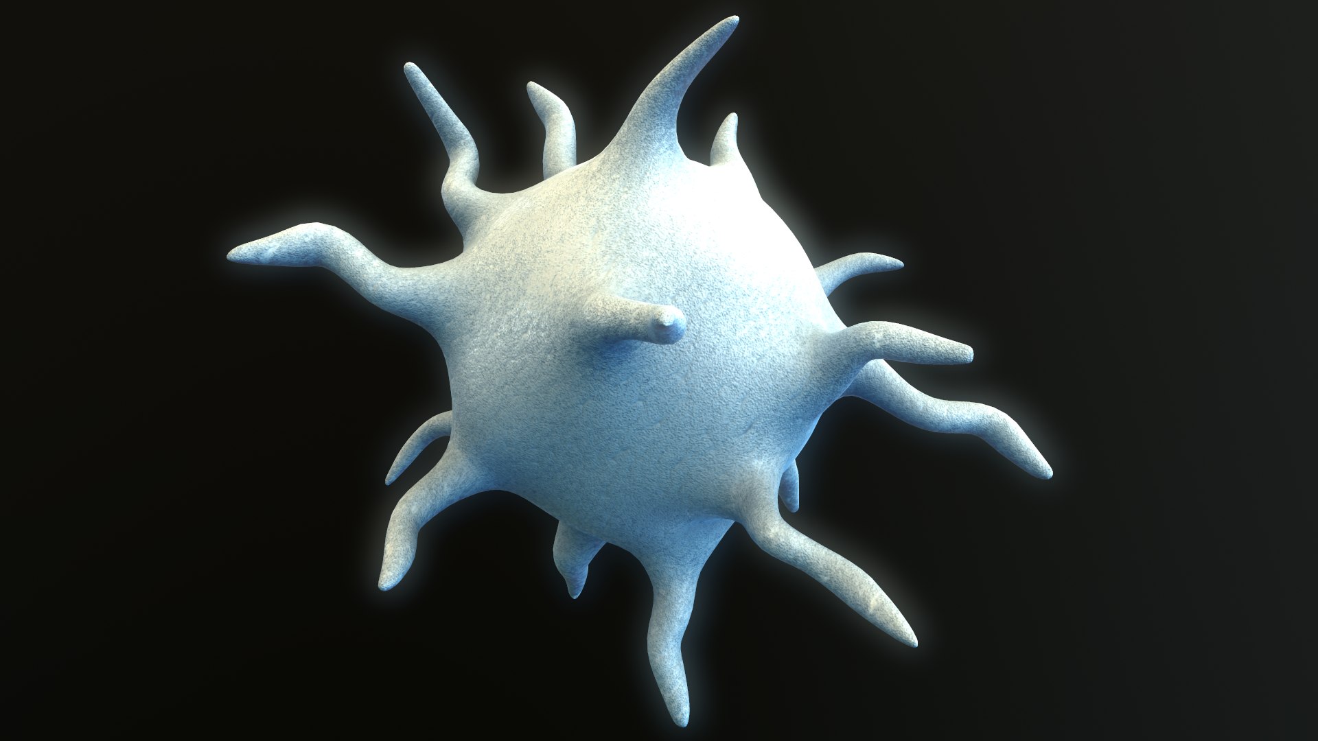platelet thrombocyte 3D https://p.turbosquid.com/ts-thumb/j9/5q0Qzd/E5sw3ihU/screenshot003/png/1572972776/1920x1080/fit_q87/38b110a7ca41eeac696d12d3f2e6fa3da4d4daaf/screenshot003.jpg