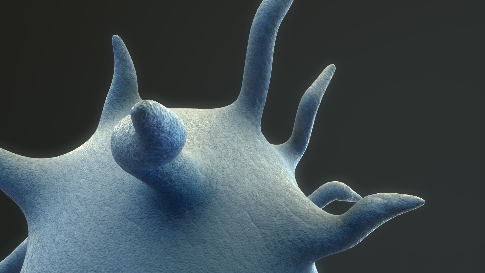 platelet thrombocyte 3D https://p.turbosquid.com/ts-thumb/j9/5q0Qzd/b0HU7Pu7/screenshot009/png/1572972776/1920x1080/fit_q87/37f9bf68373b0b9af576b7c4eb6b97eb91f7c796/screenshot009.jpg