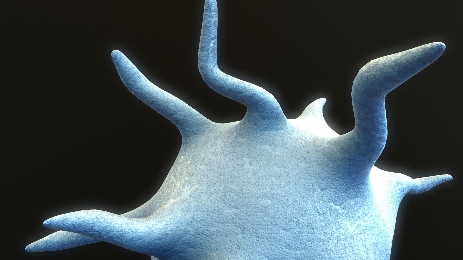 platelet thrombocyte 3D https://p.turbosquid.com/ts-thumb/j9/5q0Qzd/nHojKGVP/screenshot008/png/1572972776/1920x1080/fit_q87/8571efee53bdba95edc347b4d3b9ffd343e94e31/screenshot008.jpg