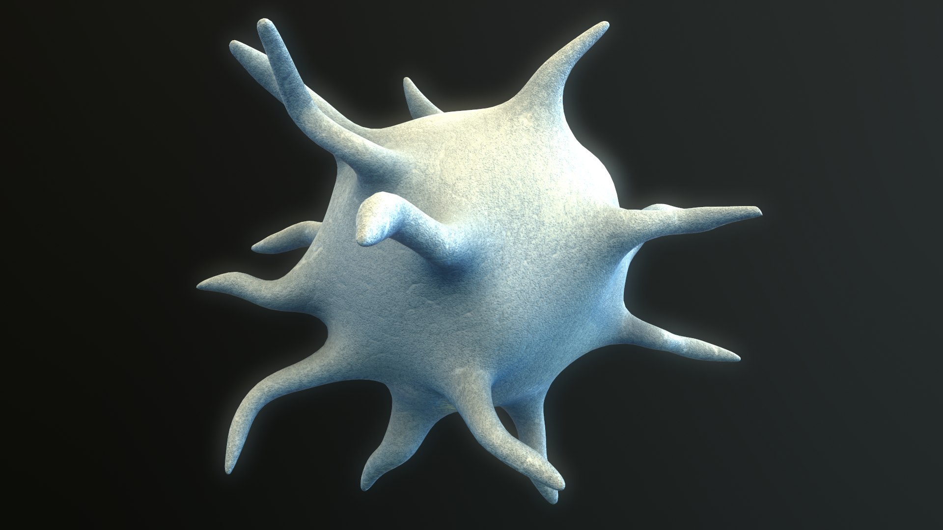 platelet thrombocyte 3D https://p.turbosquid.com/ts-thumb/j9/5q0Qzd/uTN07VLU/screenshot004/png/1572972776/1920x1080/fit_q87/c58a2f951075c4c48c126b700d49b11c970d2870/screenshot004.jpg