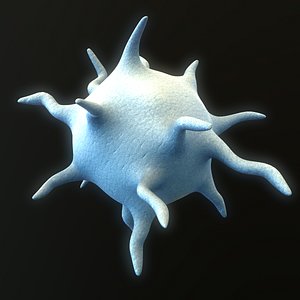 Platelet Thrombocyte