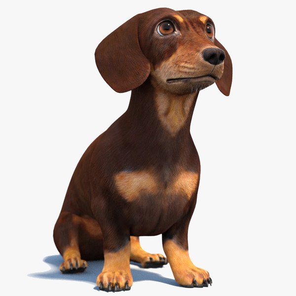 Rigged Dachshund Dog 3D Model 3D