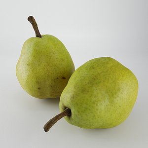 Pear (photogrammetry)
