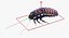 rigged creeping insects 3D
