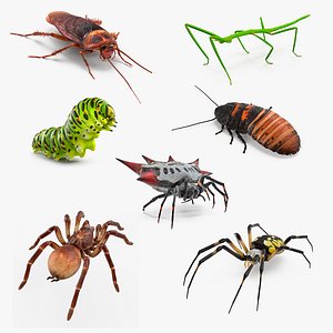 Rigged Creeping Insects Collection