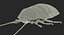 rigged creeping insects 3D