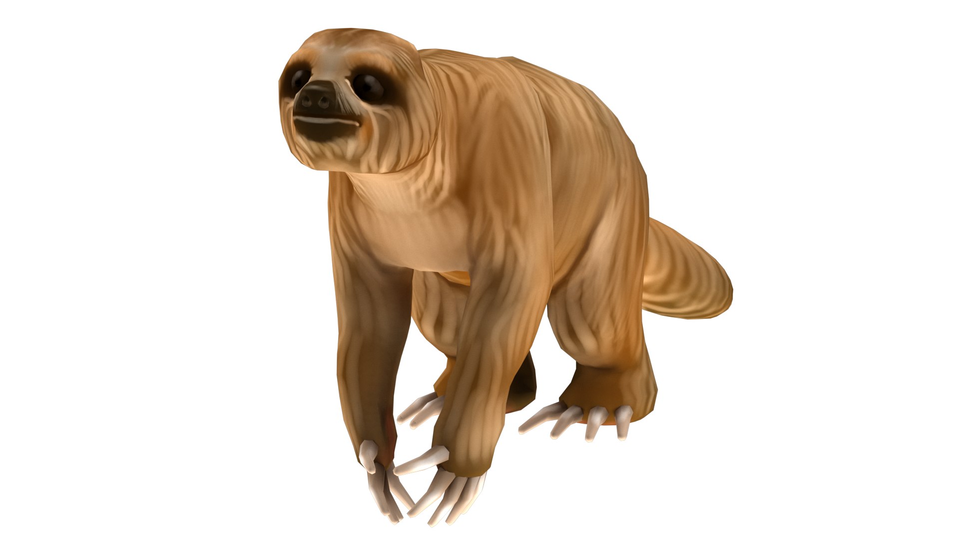 3D Sloth Low-poly Model - TurboSquid 1461625