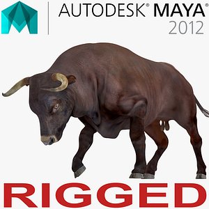 3D bull rigged model