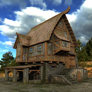 3D village house