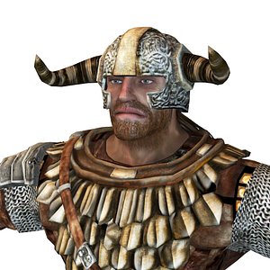 Warrior viking
