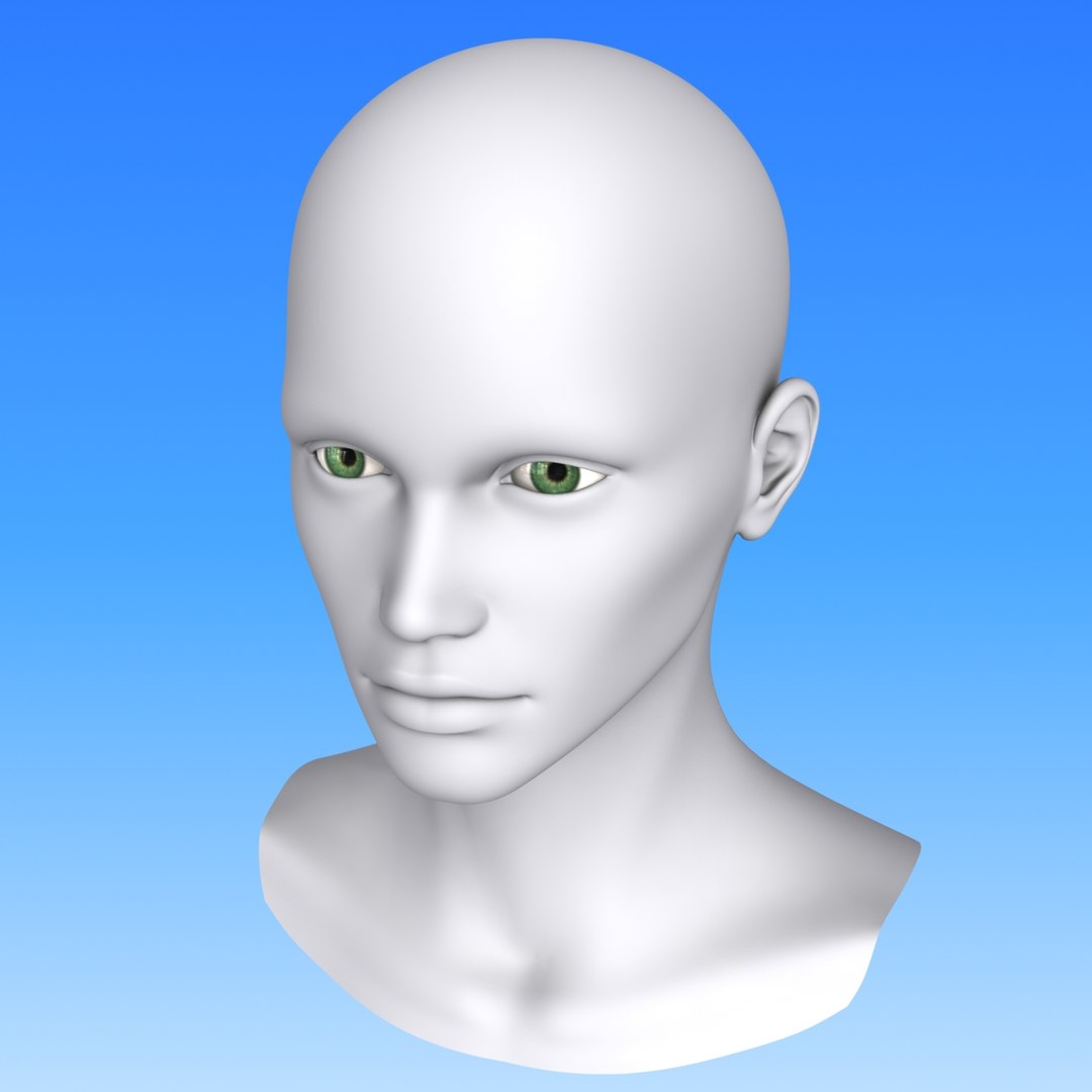 3d Polygonal Female Head Model