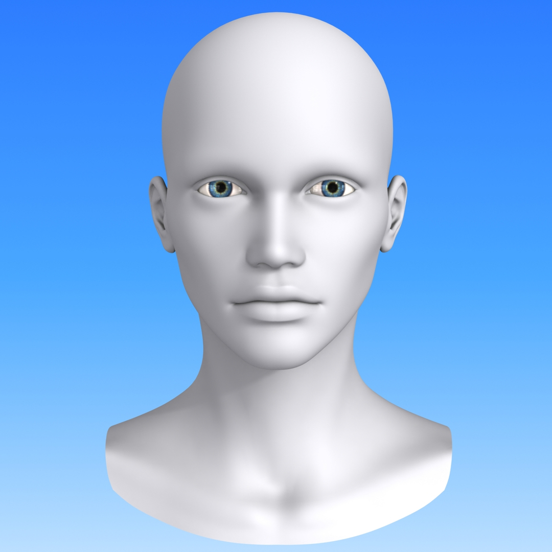 Head model studio. Женская голова 3д модель. Голова в 3д Макс. Голова фронт модель человек. Полигональная модель человека.