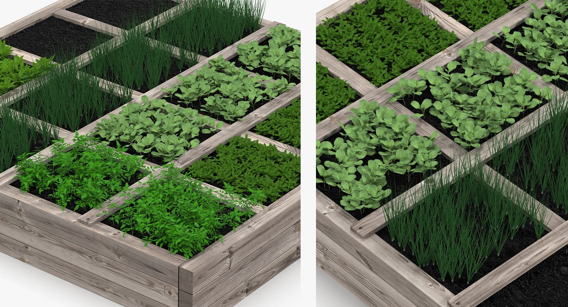 3D model Gardening Lady with Plants Collection 2 https://p.turbosquid.com/ts-thumb/jA/JBRc4O/3a/gardeningladywithplantscollection2c4dmodel064/jpg/1639684337/1920x1080/fit_q87/7e5f615f0701ade6b80f6056ec946a40c01443f7/gardeningladywithplantscollection2c4dmodel064.jpg