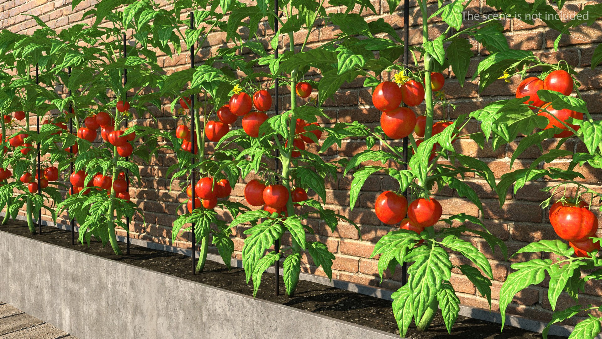 3D model Gardening Lady with Plants Collection 2 https://p.turbosquid.com/ts-thumb/jA/JBRc4O/Iw/gardeningladywithplantscollection2c4dmodel042/jpg/1639684270/1920x1080/fit_q87/e94d61369503c1f95a408ff9955175686ae5391f/gardeningladywithplantscollection2c4dmodel042.jpg