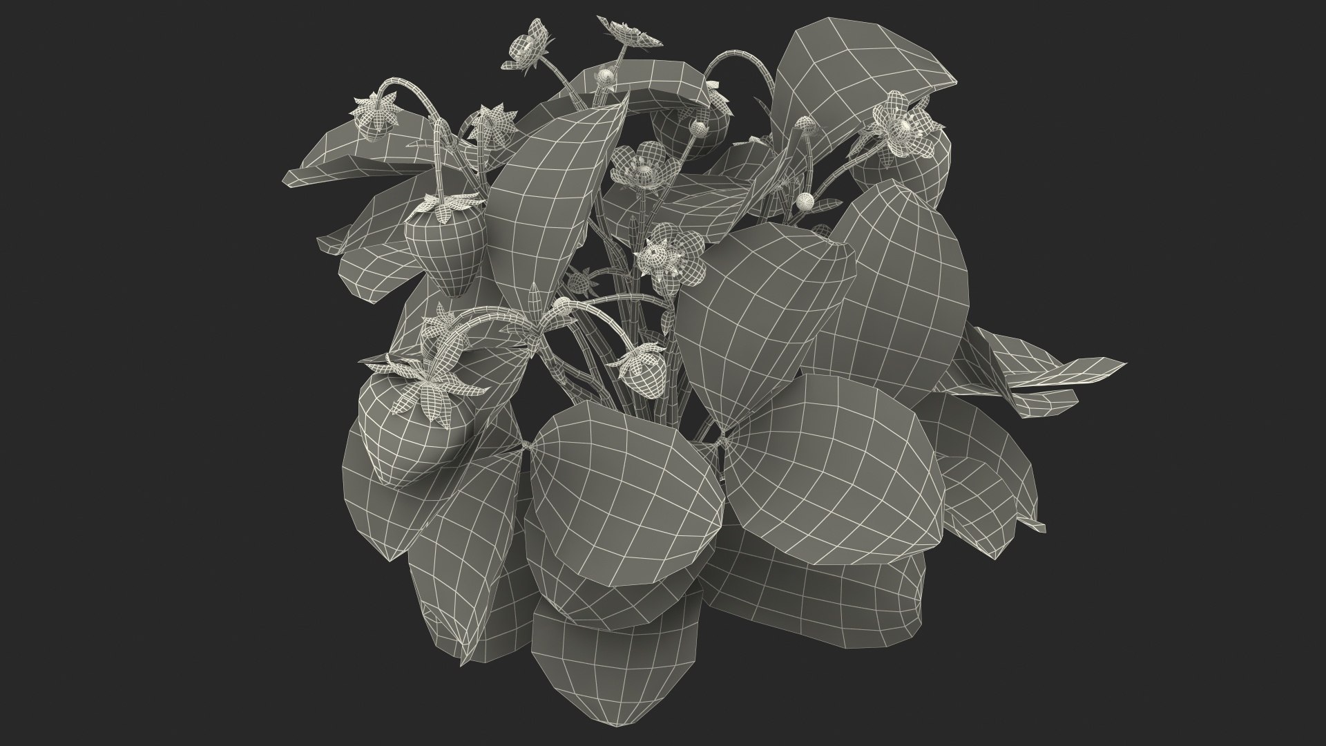 3D model Gardening Lady with Plants Collection 2 https://p.turbosquid.com/ts-thumb/jA/JBRc4O/L4/gardeningladywithplantscollection2c4dmodel067/jpg/1639684345/1920x1080/fit_q87/aebe3768d89c9c9d3474dc385b1826638b575f95/gardeningladywithplantscollection2c4dmodel067.jpg