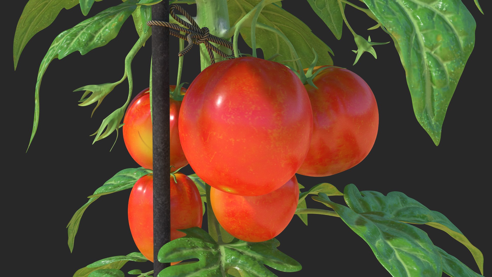 3D model Gardening Lady with Plants Collection 2 https://p.turbosquid.com/ts-thumb/jA/JBRc4O/oB/gardeningladywithplantscollection2c4dmodel050/jpg/1639684294/1920x1080/fit_q87/045f101e0c542672a2b2ed7f39070973f214db37/gardeningladywithplantscollection2c4dmodel050.jpg