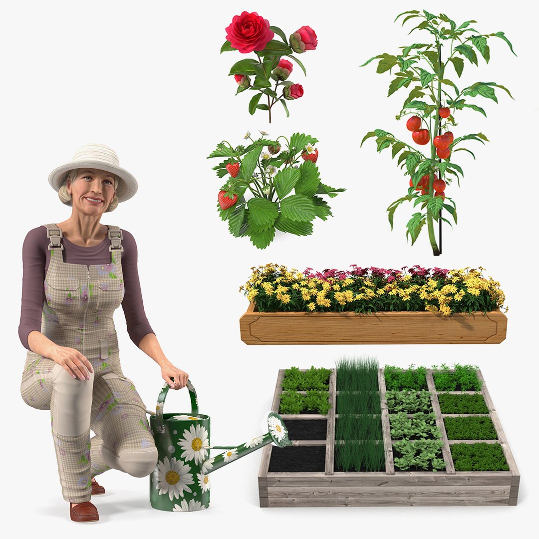 Gardening Lady with Plants Collection 2