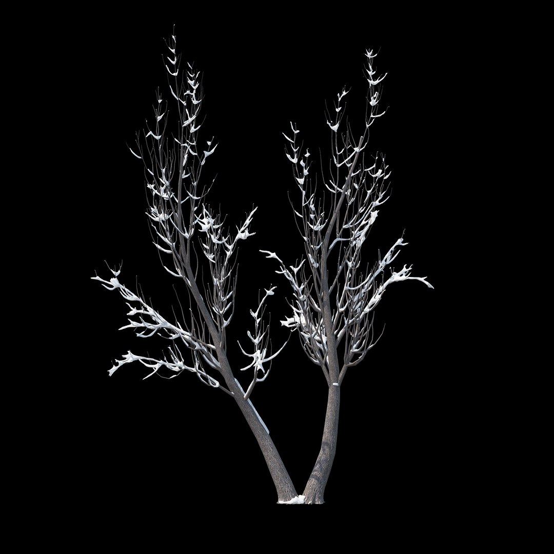 3D Winter Tree 026 Snow - TurboSquid 1234783