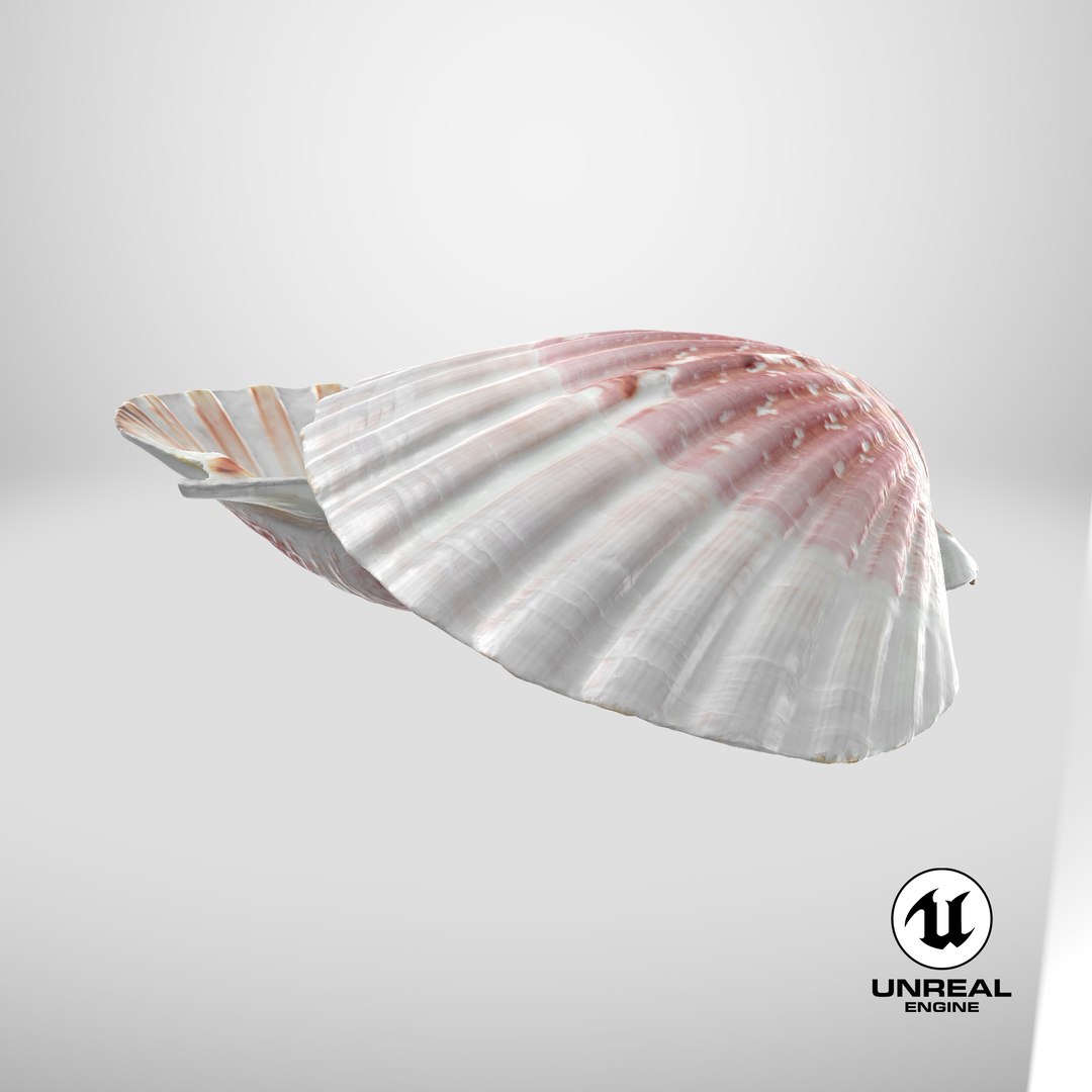 3D Clam Shell 01 Pose 2 https://p.turbosquid.com/ts-thumb/jA/SXCYBy/9M/stemcell_unreal_render/png/1716213202/1920x1080/fit_q87/70082c3532eca4617d27373a86e261f2d85524c6/stemcell_unreal_render.jpg