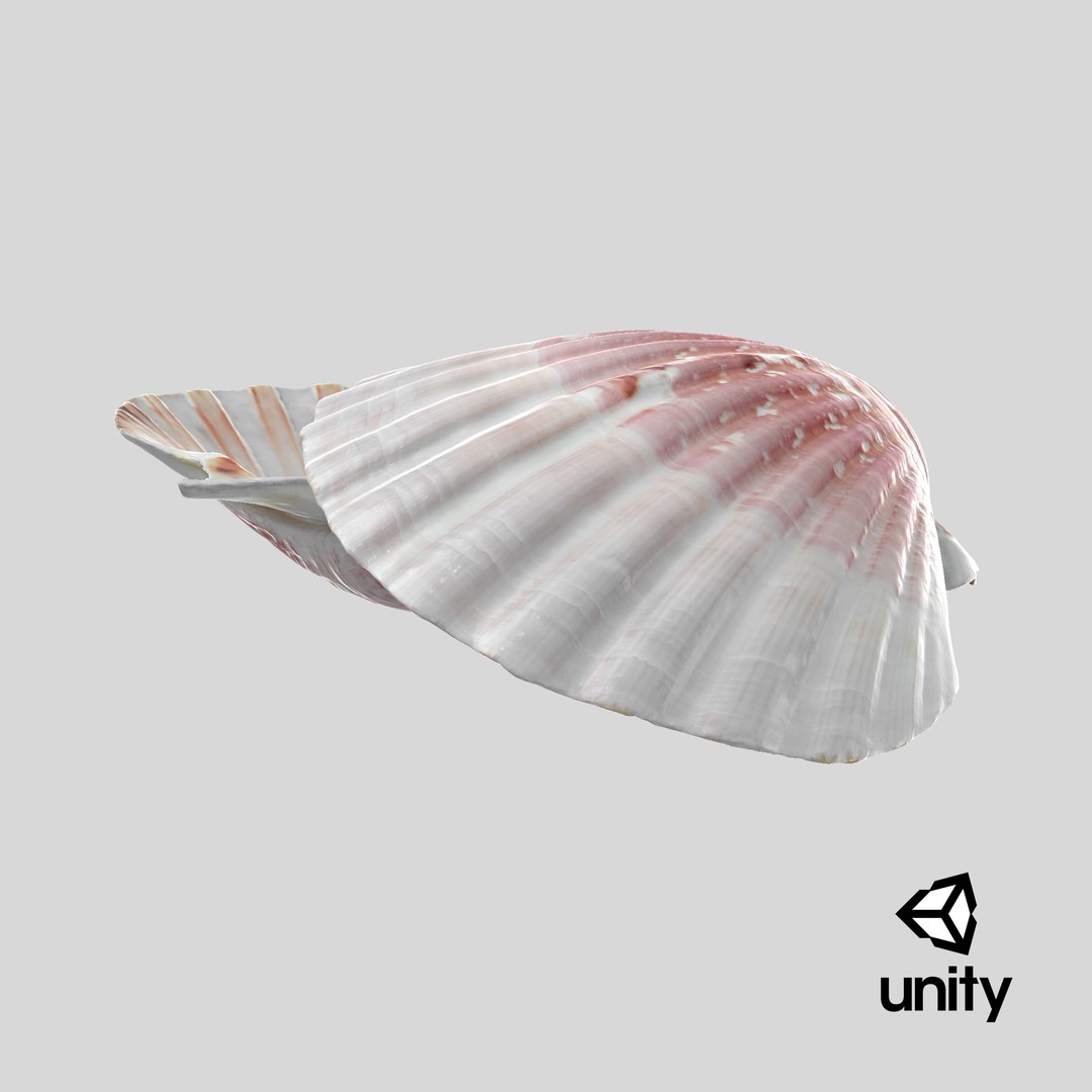 3D Clam Shell 01 Pose 2 https://p.turbosquid.com/ts-thumb/jA/SXCYBy/j7/stemcell_unity_render/png/1716213205/1920x1080/fit_q87/cfba950d0ab83c342aea21aec37cb1033f8e8709/stemcell_unity_render.jpg
