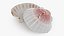 3D Clam Shell 01 Pose 2