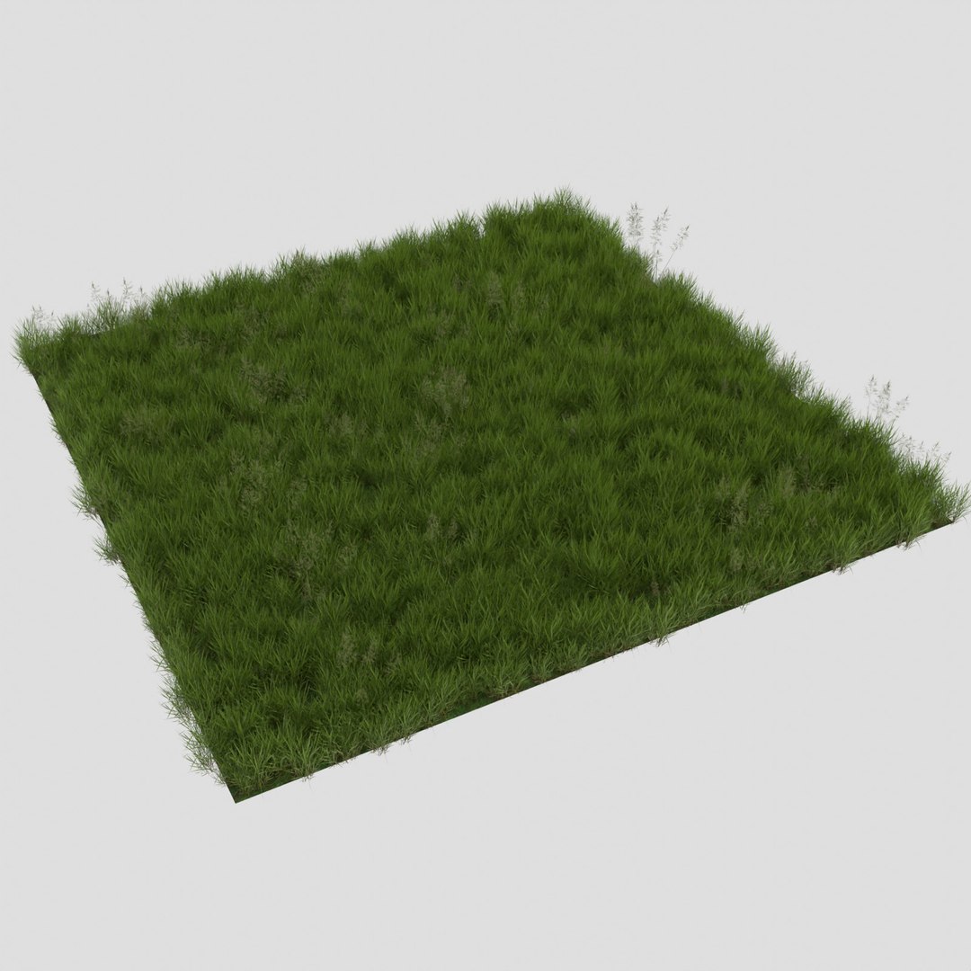 3D REALISTIC GRASS - TurboSquid 2117911