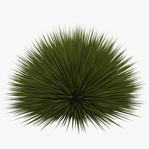 3D Model Black Reed Grass - TurboSquid 1656014