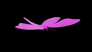 3D Animated Moth Rigged for Maya