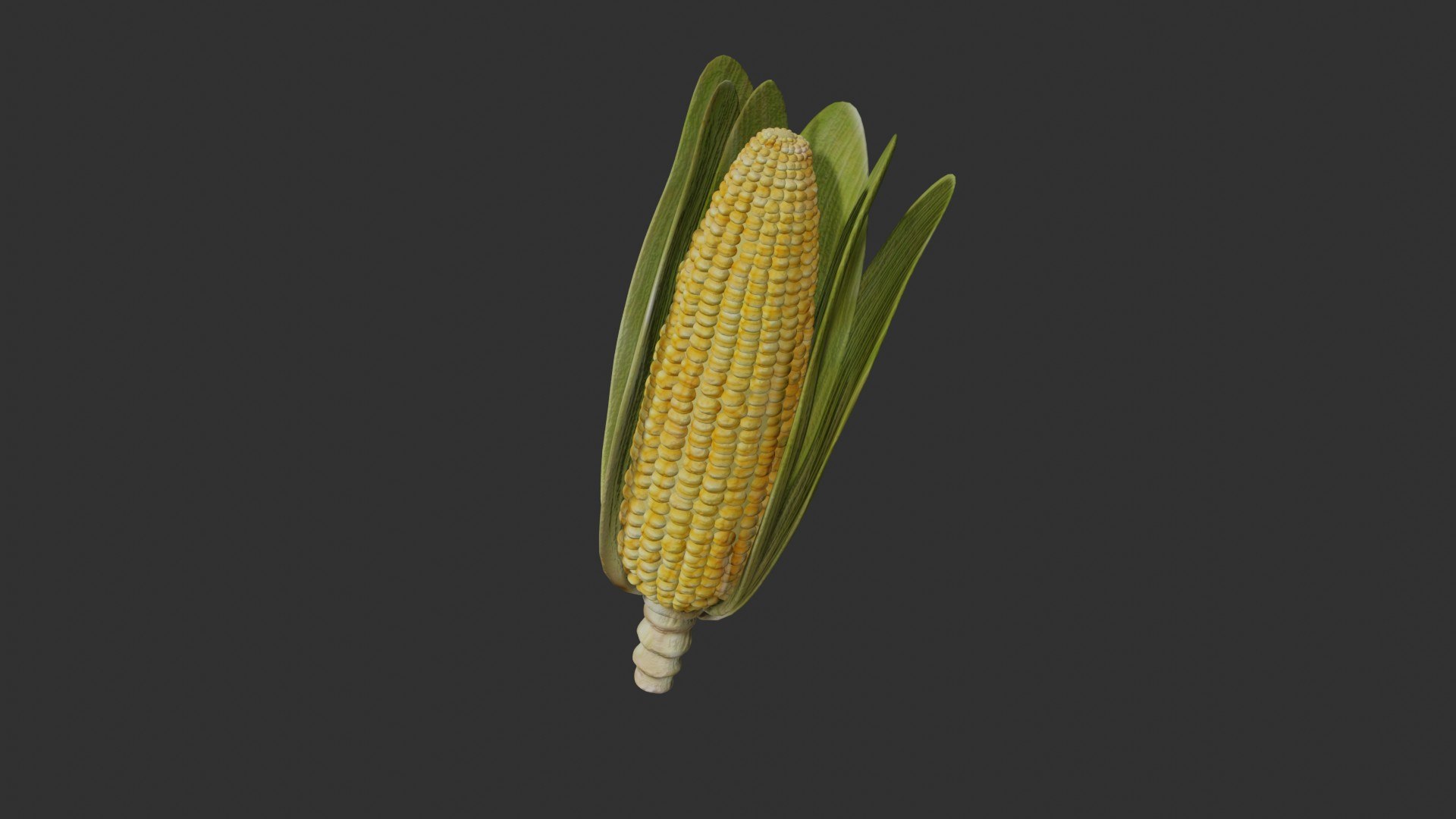 Corn model - TurboSquid 1778928