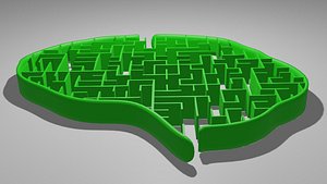 Brain maze OBJ and BLEND