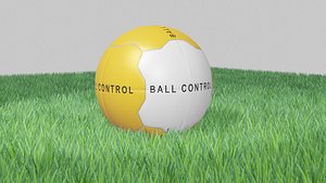 3D soccer ball grass