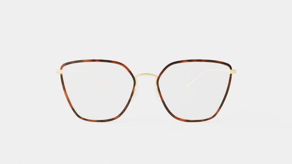 Rag and Bone - RNB3028 06J Glasses 3D model