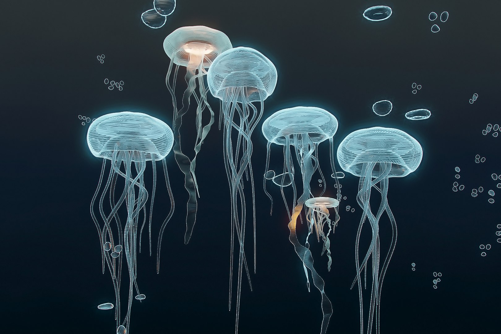 3D Model JellyFish TurboSquid 2070880