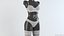 3D Lingerie 15