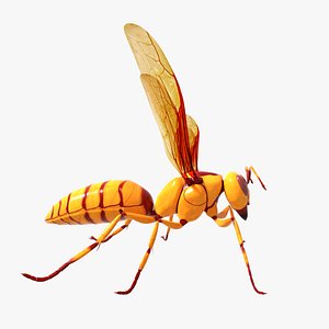 3D executioner wasp model
