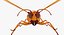 3D executioner wasp model