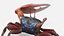 Male Fiddler Crab Rigged and Animated