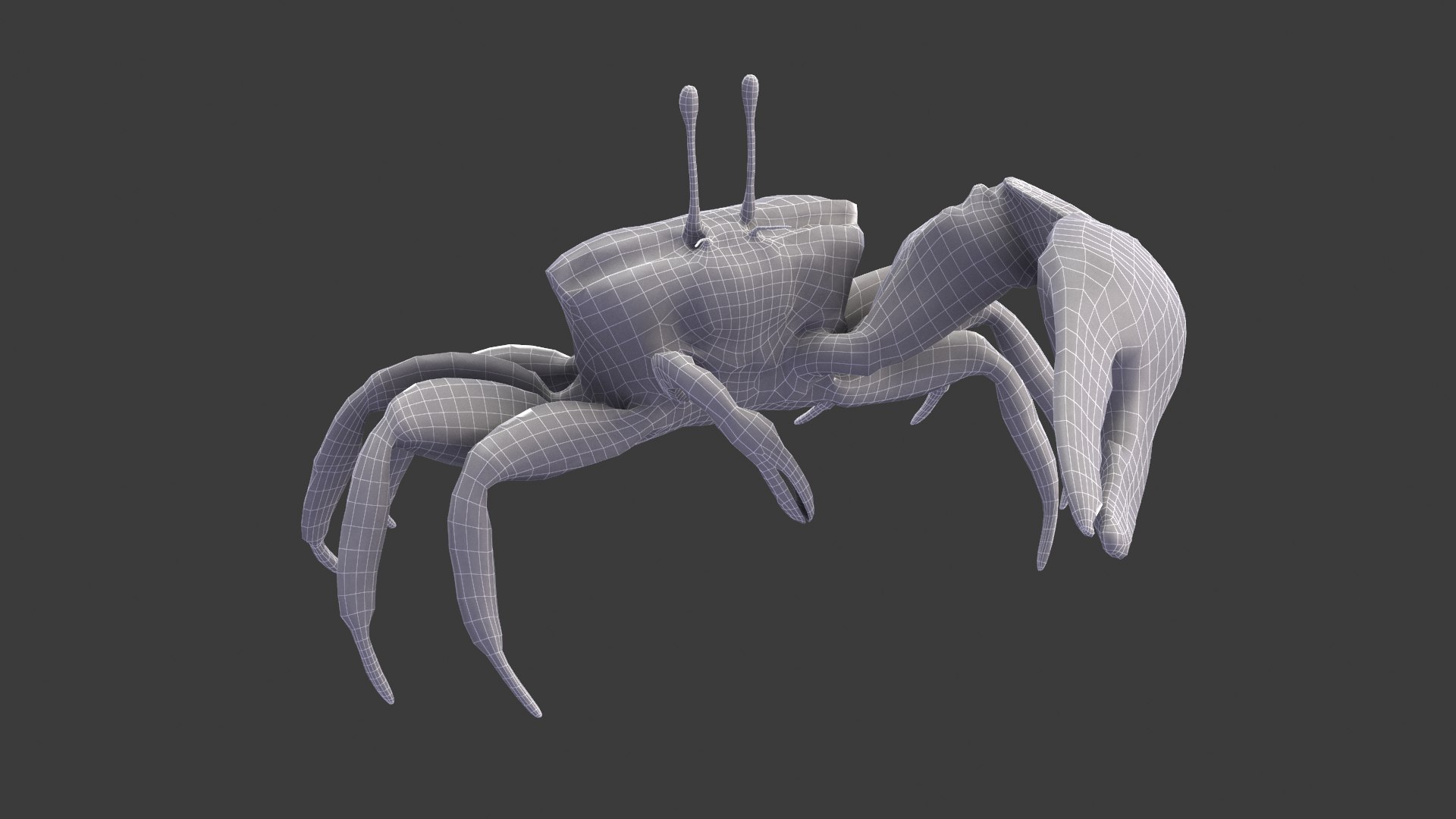 Male Fiddler Crab Rigged and Animated 3D https://p.turbosquid.com/ts-thumb/jC/0sVNtR/O1/male_fiddler_crab_wired02/png/1660832051/1920x1080/fit_q87/edf77b1d5ad3293f049c13b8800c43152a663df2/male_fiddler_crab_wired02.jpg