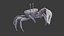 Male Fiddler Crab Rigged and Animated