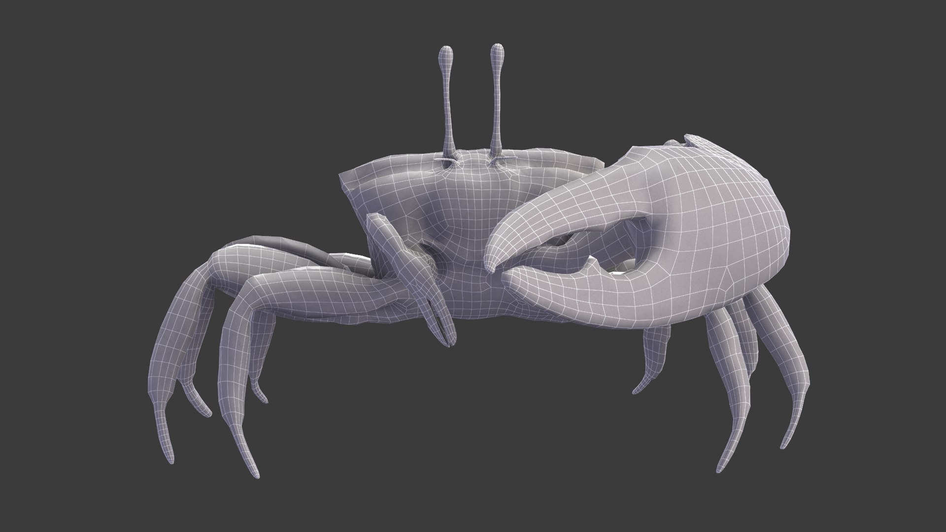 Male Fiddler Crab Rigged and Animated 3D https://p.turbosquid.com/ts-thumb/jC/0sVNtR/Oc/male_fiddler_crab_wired01/png/1660832051/1920x1080/fit_q87/fefb34fbc008c34f0a1854178a07da7bd1accbe4/male_fiddler_crab_wired01.jpg