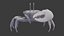 Male Fiddler Crab Rigged and Animated