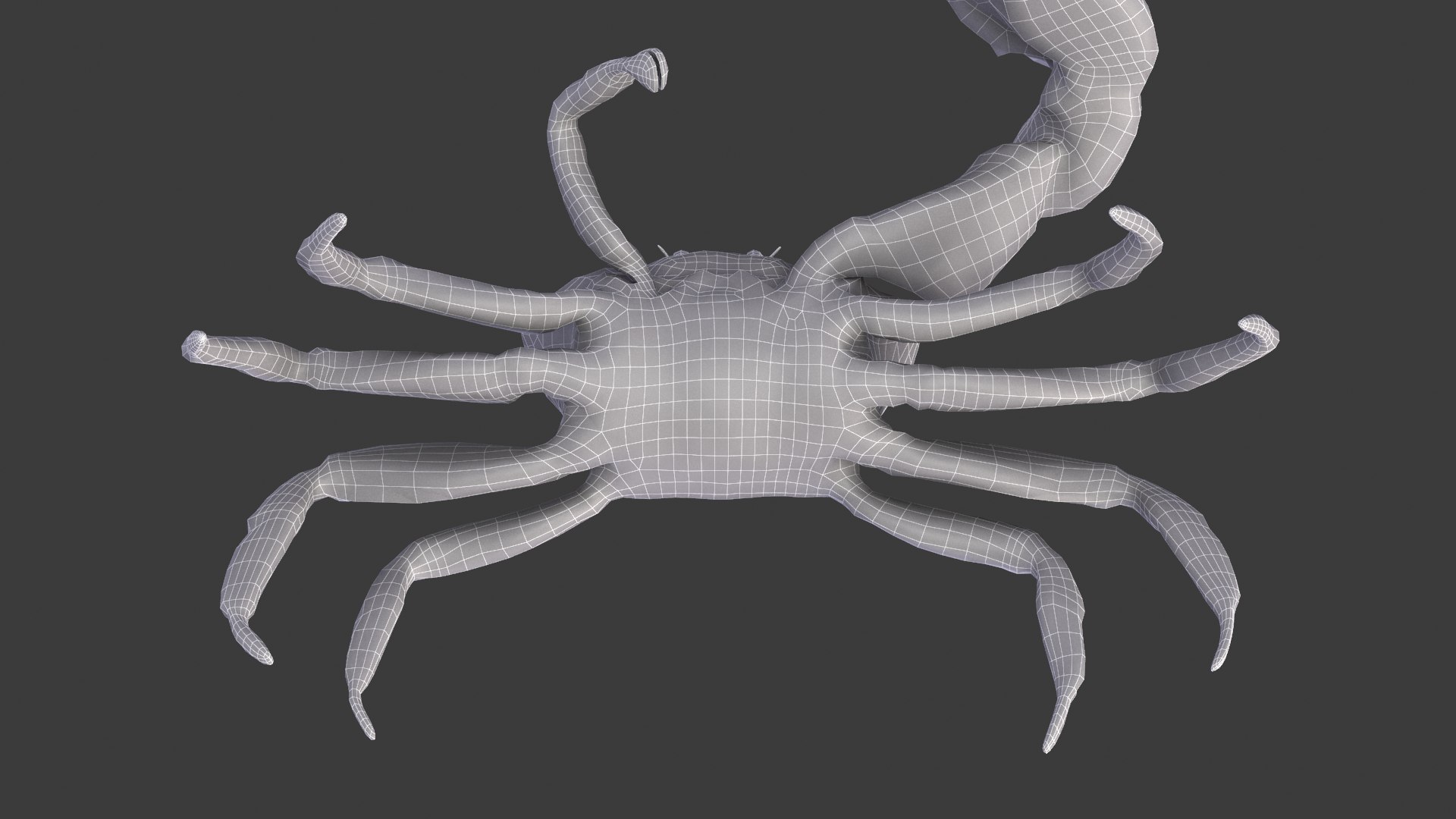 Male Fiddler Crab Rigged and Animated 3D https://p.turbosquid.com/ts-thumb/jC/0sVNtR/Uq/male_fiddler_crab_wired04/png/1660832051/1920x1080/fit_q87/d2cda9e3d9f1cb06f13876719f82898990d919ec/male_fiddler_crab_wired04.jpg